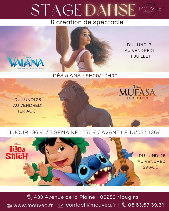 AFFICHES STAGES ET AUTRES PUBLI (1)